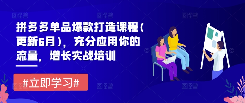 拼多多单品爆款打造课程(更新6月)，充分应用你的流量，增长实战培训-为学素材网