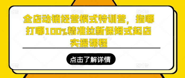 全店动销经营模式特训营，指哪打哪100%精准拉新保姆式起店实操课程-为学素材网