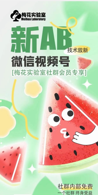 梅花实验室2024年AB技术视频号AB合成破解版-为学素材网